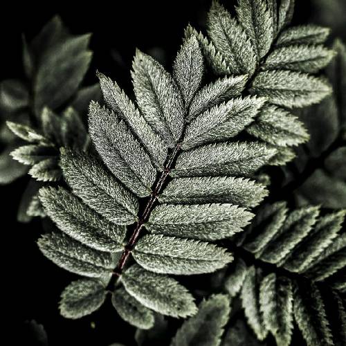  شباشو گذرونده با خیالو قلبش شایدم میخواسته بکنه آبی ها رو زردش